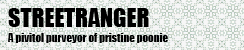 Street Ranger